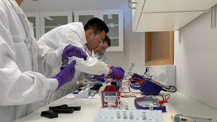 From refugee to QA/QC: A journey of opportunity and growth
