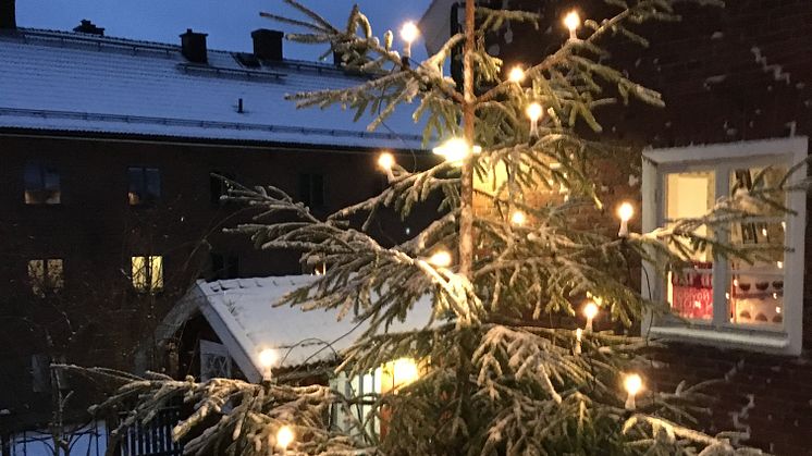 God Jul och ett väloljat Gott Nytt År!