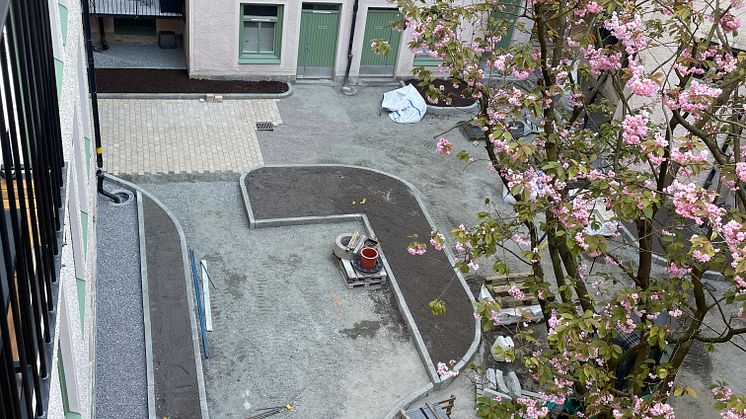 Ett befintligt träd har fått styra en stor del av gårdens utformning