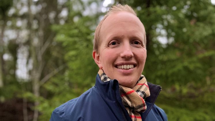 Mikael Palm blir ny marknadsområdeschef för skog på Ludvig & Co
