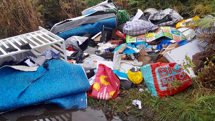 Waste dumped at Sergeants Lane, Whitefield.