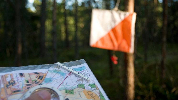Orienteringstävlingen 25-manna anordnas med stöd av Haninge kommun