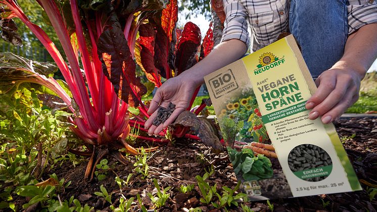 Azet Vegane Hornspäne von Neudorff erhielten eine Auszeichnung vom DIY Fachmagazin