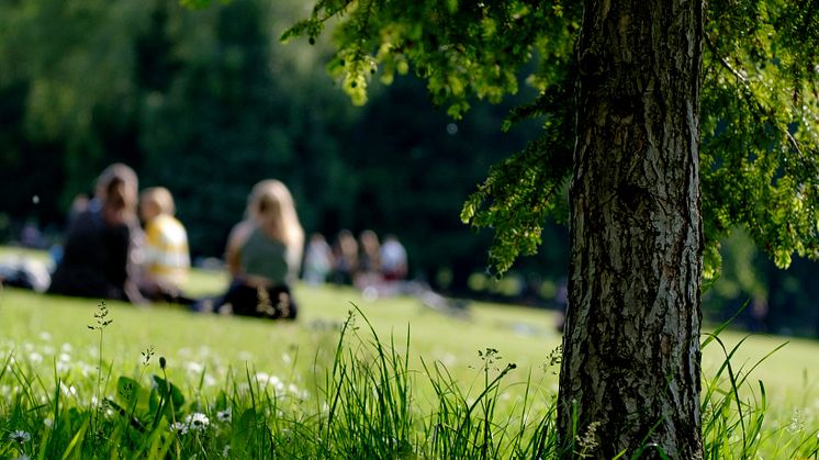 Ny undersökning: Ungas oro över privatekonomin ökar