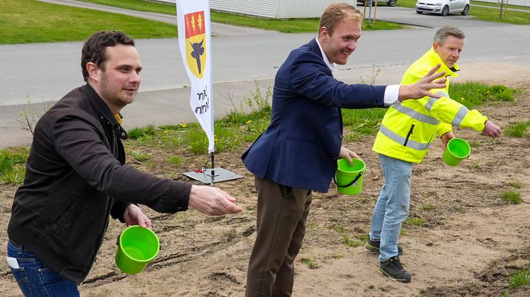 Bullervall Kyrkmossen 4 vald.JPG