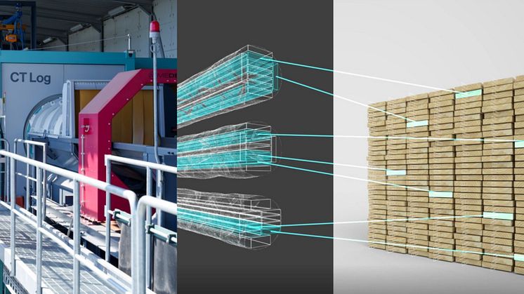X-ray scans all logs entering the sawmill.