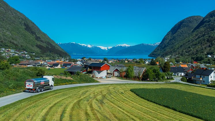 TINE deler overskuddet: Over 1,4 milliarder kroner tilbake til melkebøndene