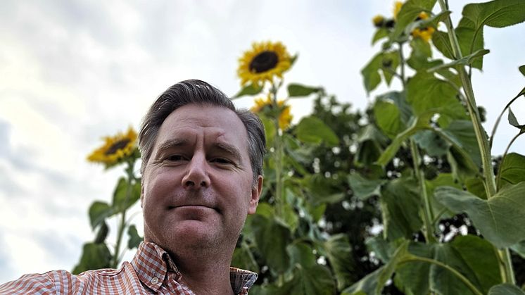 Cropcision_JL_sunflower.jpg