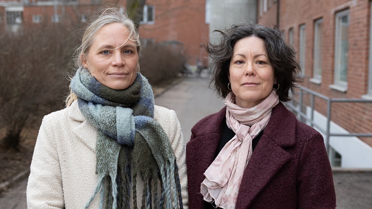 Löfgren och Ryberb Mo bild 2 beskuren 2.jpg