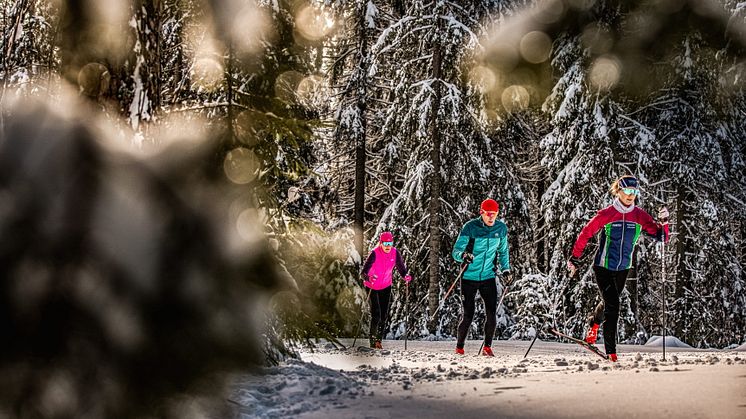 Längdskidåkning på Billingen i Skövde Foto: Alexander Arnholm/vastsverige.com