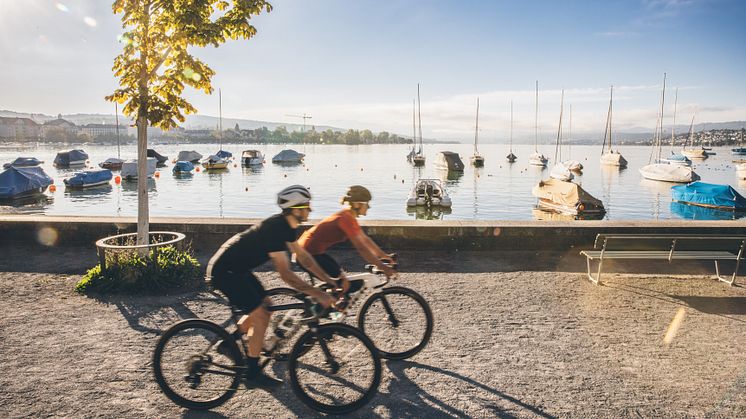 Gravel Bike in der Region Zürich