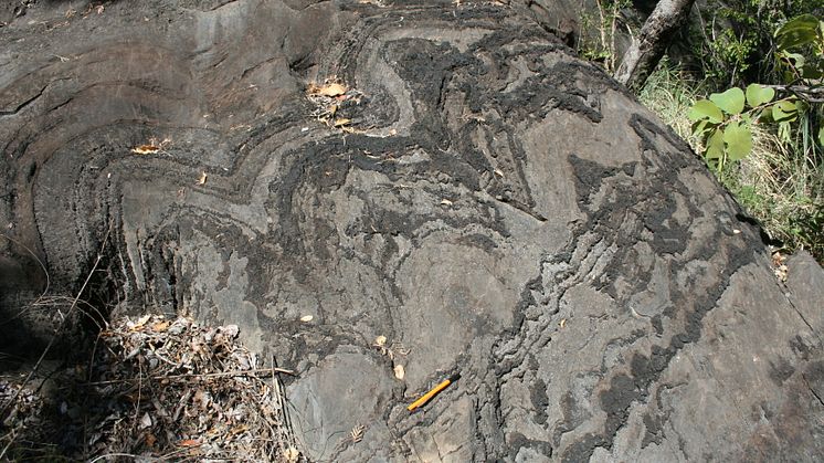 An example of stromatolites investigated in the study found in the Cheshire Formation of the Belingwe greenstone belt, Zimbabwe. Photo credit: Professor Axel Hofmann