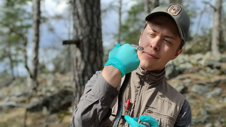 Ludvig Palmheden var förra helgen med i SR:s Naturmorgon och pratade om snokar. Foto Emma Engvall.