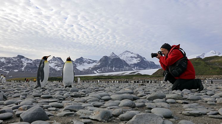 Yadegar Asisi fotografiert Pinguine für das ANTARKTIS-Panorama  - © asisi