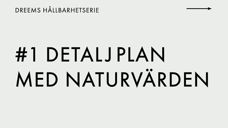 #1 DREEMS HÅLLBARHETSERIE