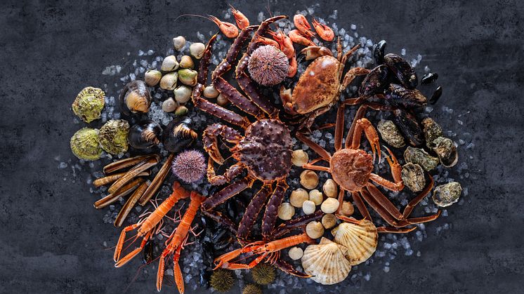 Norske skalldyr er en ettertraktet delikatesse på high-end restauranter i inn- og utland. FOTO Studio Dreyer Hensley