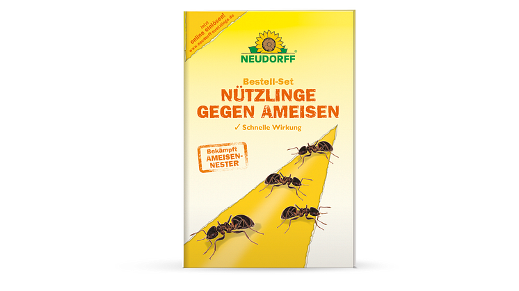 Neudorff Neuheiten_Bestell-Set Nützlinge gegen Ameisen_24-09.png