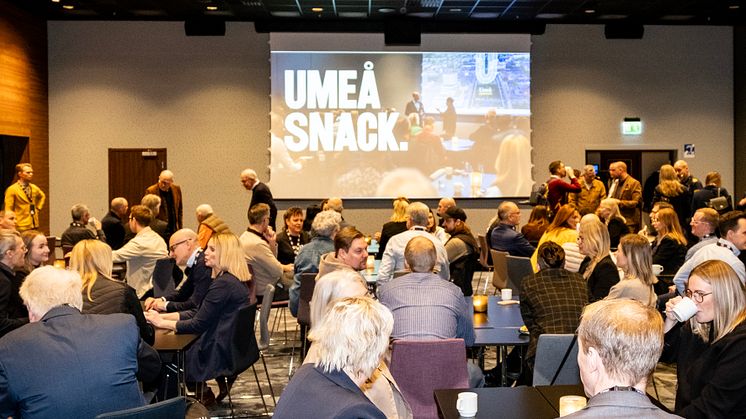 Framtidens Umeå: En vision för en hållbar och Inkluderande stad