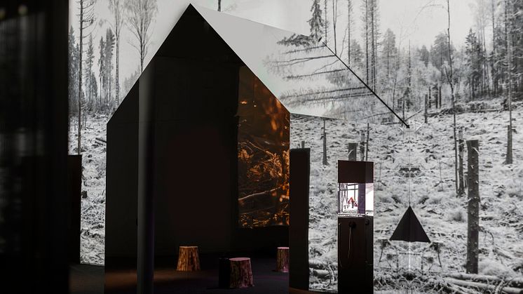 Utställningen Skogen på Tekniska museet. Foto: Anna Gerdén