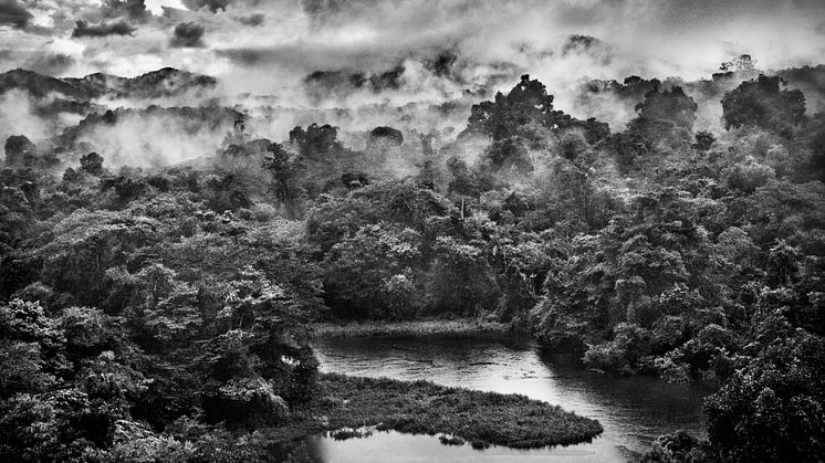 ©Sebastião Salgado - Auaris River in the Parima Forest Reserve, state of Roraima, Brazil, 2018 180912-02-04159