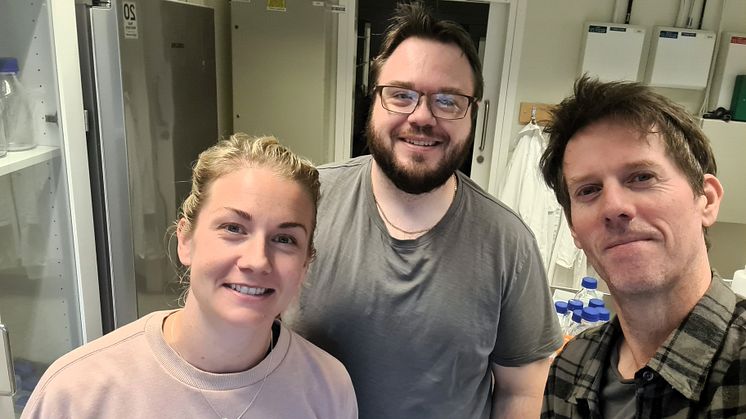 AlexoTech specialiserar sig på skräddarsydd produktion av proteiner och peptider, med fokus på neurologisk forskning. I höst släpper Umeåföretaget, med vd:n Anders Olofsson längst till höger, nya forskningsreagens. 