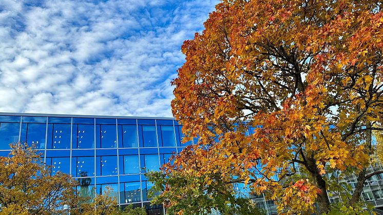 231025 Kontor solna strandväg.jpg