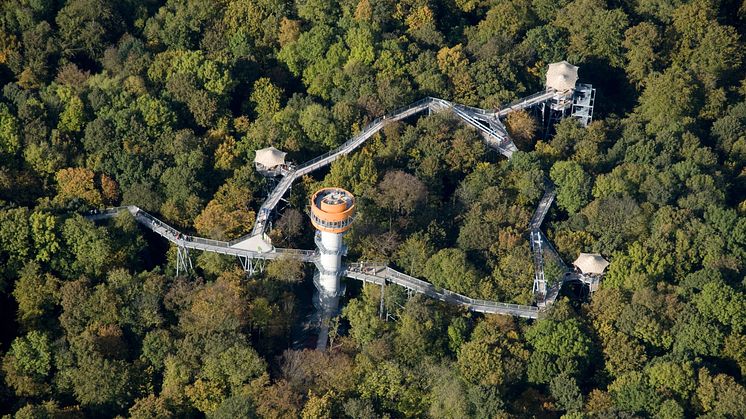 Hainich National Park: canopywalk © Nationalpark Hainich/Thomas Stephan