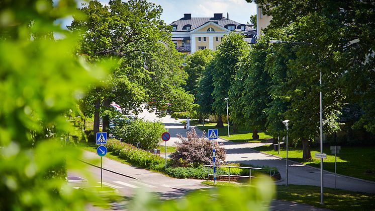 Grattis Viksäng 60 år!