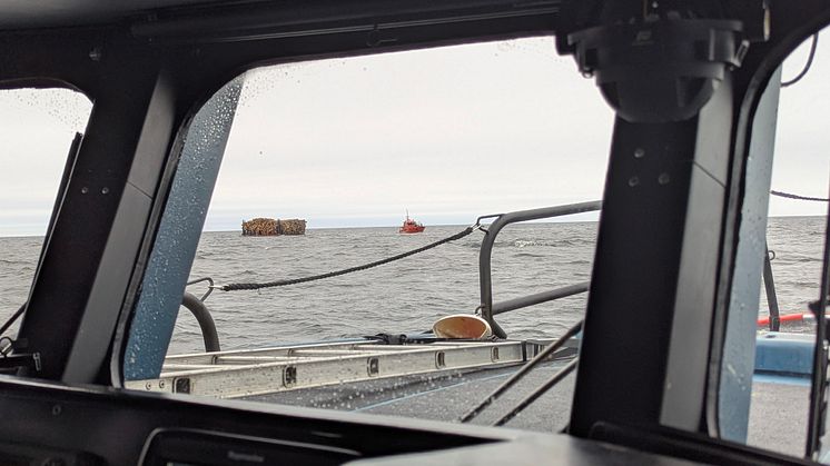 Räddningsarbete pågår efter att en bogserbåt sjunkit utanför Piteå. Foto: Sjöräddningssällskapet 