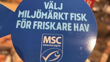 Svenska konsumenter väljer allt oftare miljömärkta fisk-och skaldjur