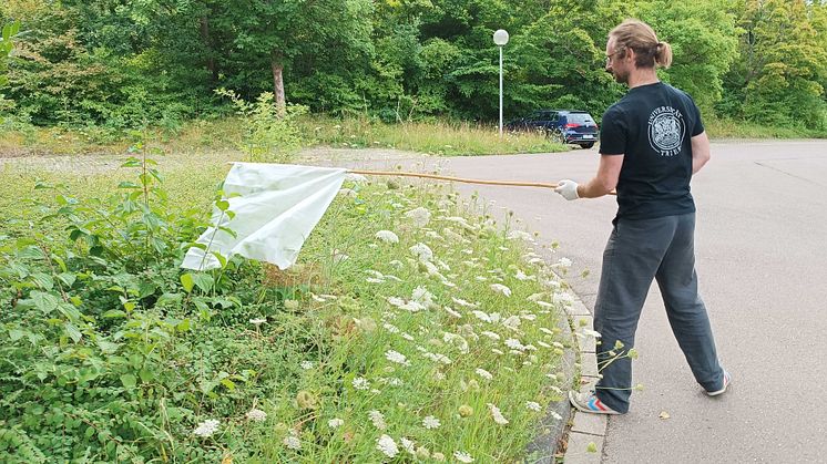 Eine großangelegte Probensammlung sorgt für ungewöhnliche Anblicke.