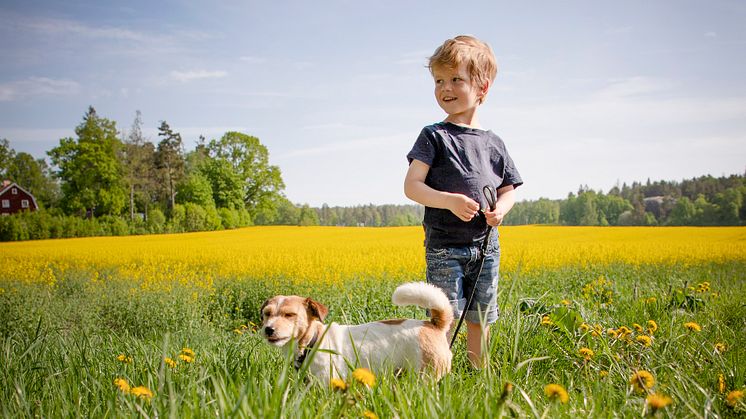 Djulö 052 SJ 230523.jpg