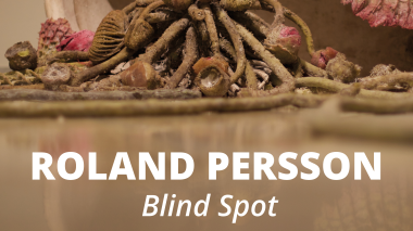 Roland Persson Blind Spot.jpeg