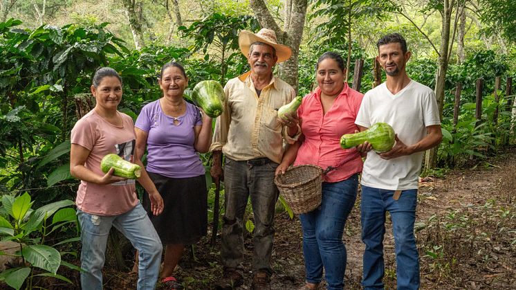 During 2023, ICP supported over 36,000 households in Brazil, Ethiopia, Honduras, and other coffee-producing countries.