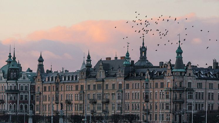Fotograf: Mårten Björk