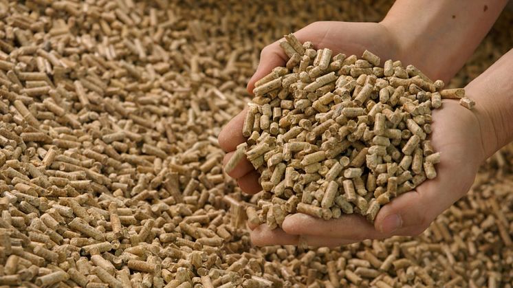 Die angeschlossenen Haushalte in Tessin erhalten jetzt Nahwärme aus fossilfreien Holzpellets.