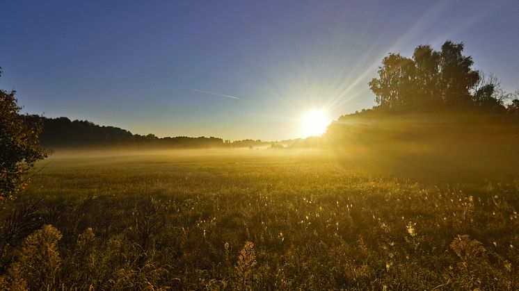 Der Brandenburger Energieholztag feiert Jubiläum, blickt zurück, schaut aber auch in die Zukunft der Möglichkeiten innovativer und nachhaltiger Holznutzung.