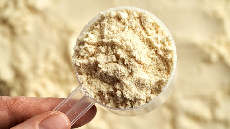 Bilden visar vassleprotein, utvunnet från vassle – en biprodukt från tillverkning av ost, yoghurt och andra mejeriprodukter. Bild: www.istockphoto.se