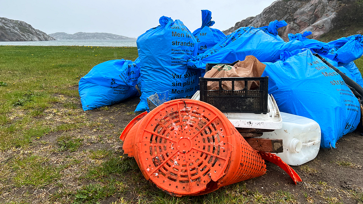 Havsströmmar från Nordsjön, Östersjön, och Engelska kanalen för med sig stora mängder skräp till Bohuskusten. Foto: Västkuststiftelsen.