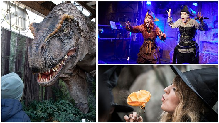 Høstferie i Sverige: Dinosaur på Universeum, foto: Maria Kopp. Spöktober på Daftö, foto: Michael Skärström. Heks på Universeum, foto: Universeum