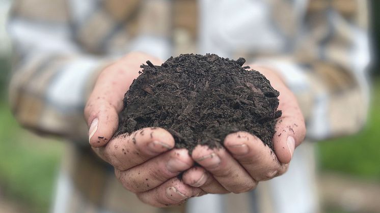 ’No-Dig’ er den nye trend i køkkenhaven – men jorden er vigtig