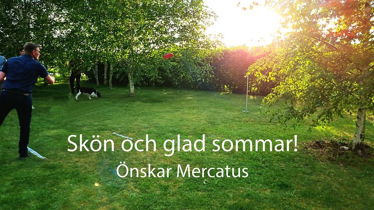 Sommarhälsningar från Mercatus