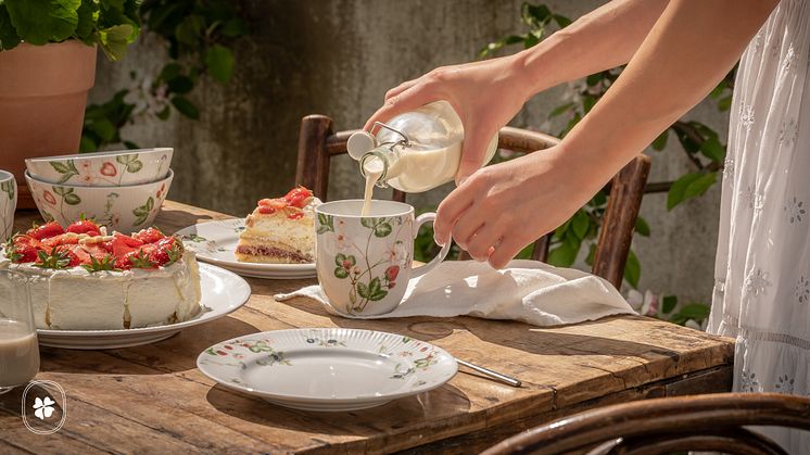 Nyhet! Nordic Dawn Sommar – porslinet som för tankarna till soliga fikastunder och sommarens smaker.
