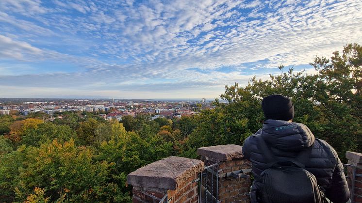 Hög nivå från utsiktstornet på Galgberget. Det ger en bra överblick över Halmstad. Foto: Destination Halmstad.