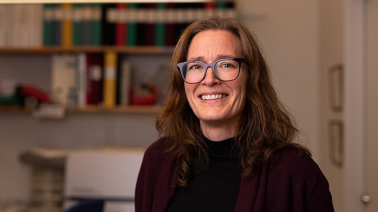 Forskning om östrogenets potential att förebygga benskörhet