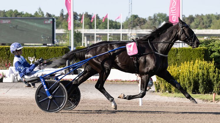 Borups Victory och Daniel Wäjersten är klar för Hugo Åbergs Memorial. Foto: Lena Emmoth, TR Bild