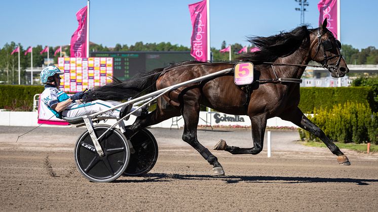 FRANCESCO ZET heat försök.jpg