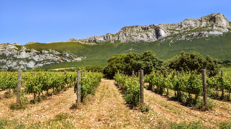 Rioja