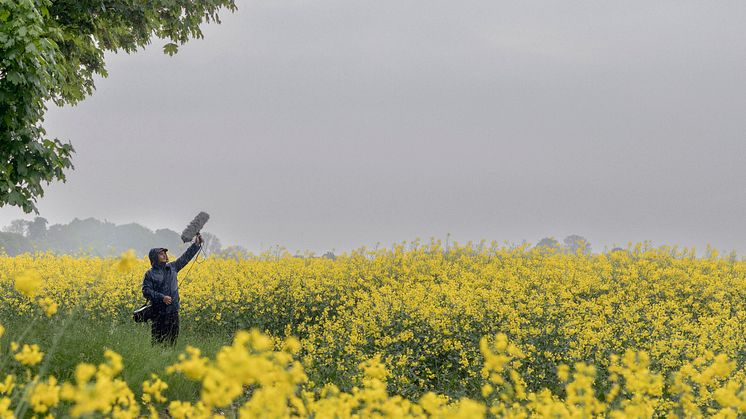 Vi mäter skånskt lugn. Sverige och Skåne har betydligt fler stillsamma platser än andra europeiska länder. Tystnad rankas som en av de främsta anledningarna till varför danska och tyska besökare väljer att semestra här. Foto: Apelöga