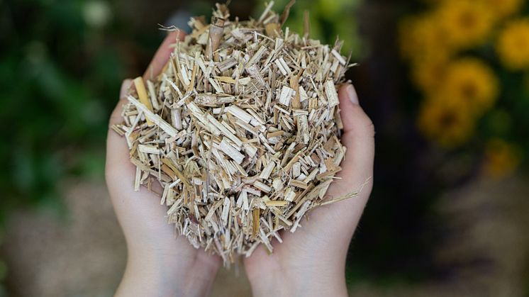 Floragard_Miscanthus Mulch.jpg